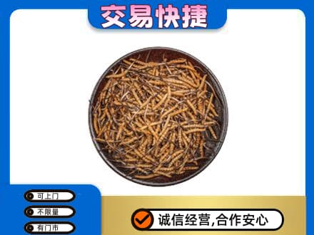 长沙市宁乡回收散虫草